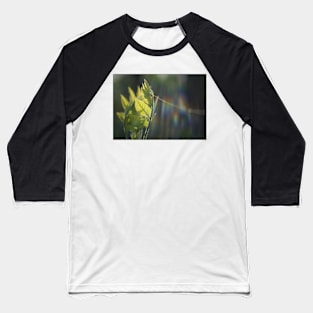 Fresh Green Leaves With Spiderweb Baseball T-Shirt